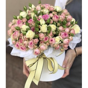 Коробочка з кущовою трояндою Хмарка